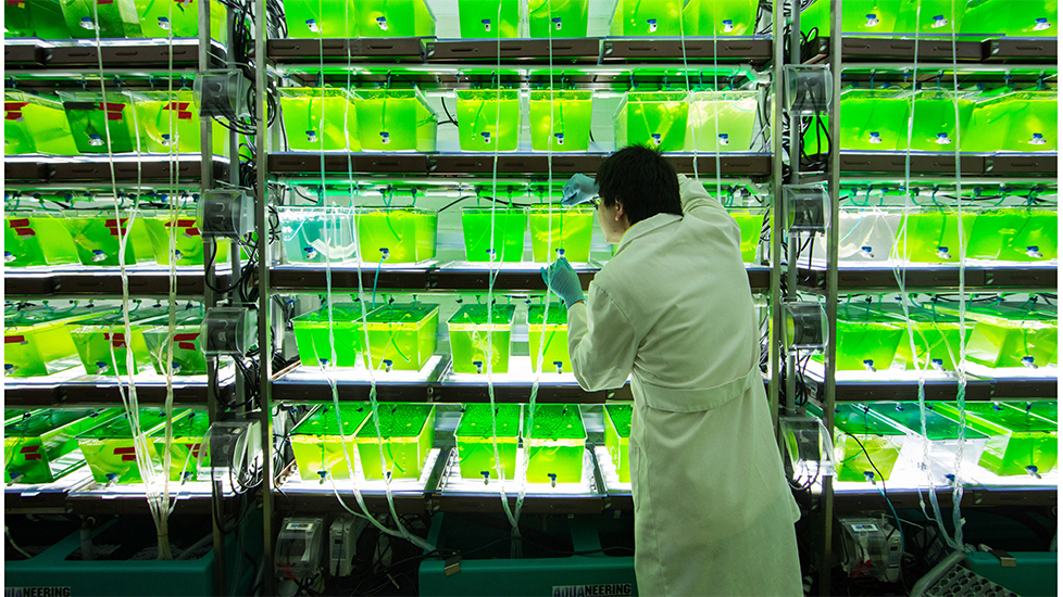 biodisplay1.jpg